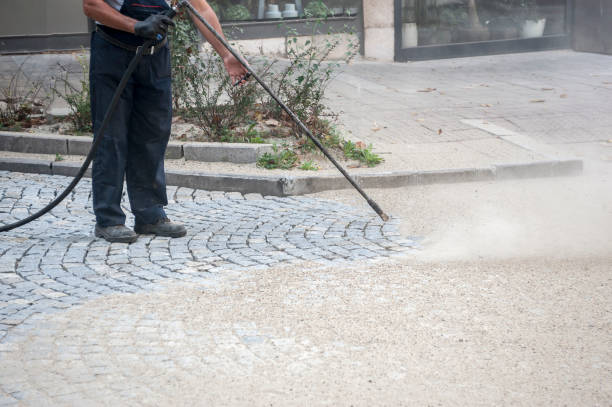 Best Driveway Pressure Washing  in Clyde, NY